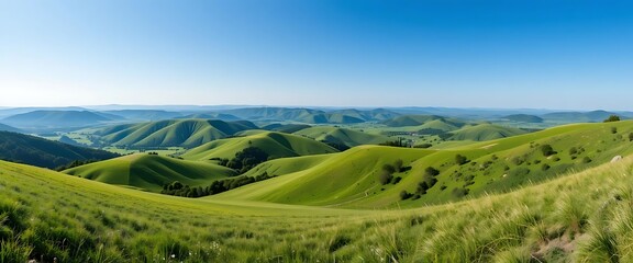 Obraz premium Serene Green Rolling Hills Landscape Vivid Blue Sky Panoramic View