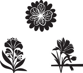 Flower collection  vector illustration set of floral 