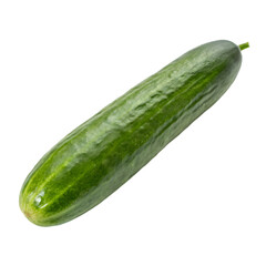 raw green organic english cucumber on transparent background