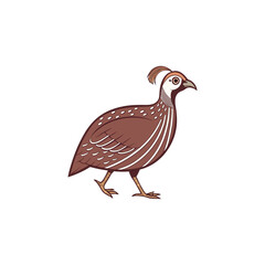 guinea hen vector illustration 
