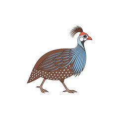 guinea hen vector illustration 