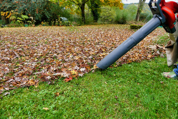 Results of clearing autumn leaves using a leaf blower