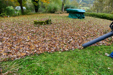Results of clearing autumn leaves using a leaf blower