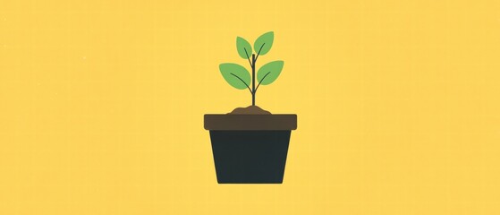Small plant growing in black pot, vibrant background.