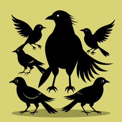 Fototapeta premium silhouettes of birds