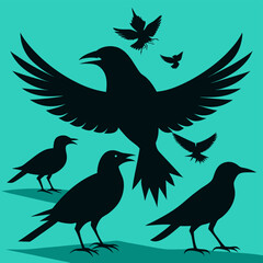 silhouettes of birds