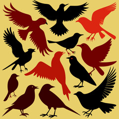 silhouettes of birds