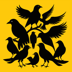 silhouettes of birds