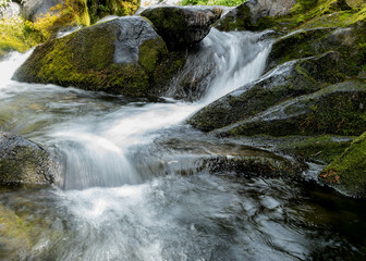 Fototapeta premium Glacier National Park Waterfalls