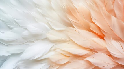 Soft Gradient Feathers in Light Tones for Aesthetic Backgrounds
