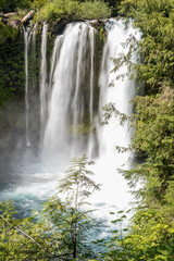Fototapeta premium Oregon Waterfalls