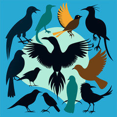 silhouettes of birds