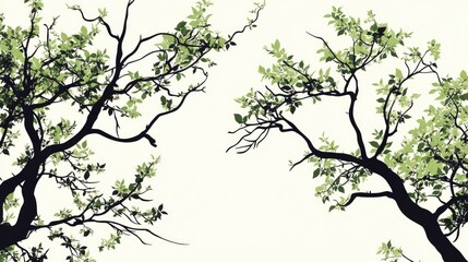 Fototapeta premium tree branches silhouette