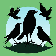 silhouettes of birds