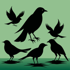 silhouettes of birds
