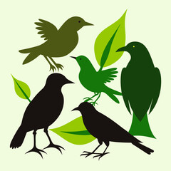 silhouettes of birds