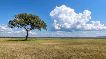 Obraz premium A lone tree in the middle of a grassy field