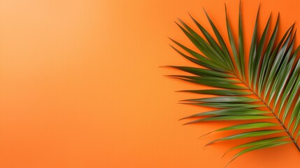 A green palm leaf on an orange background