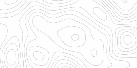 White topography topology vector white background fresh contour map texture. white seamless pattern Abstract background with a wave Topography and geography map grid abstract backdrop.