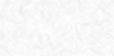 White topography topology vector white background fresh contour map texture. white seamless pattern Abstract background with a wave Topography and geography map grid abstract backdrop.