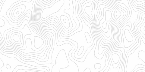 White topography topology vector white background fresh contour map texture. white seamless pattern Abstract background with a wave Topography and geography map grid abstract backdrop.