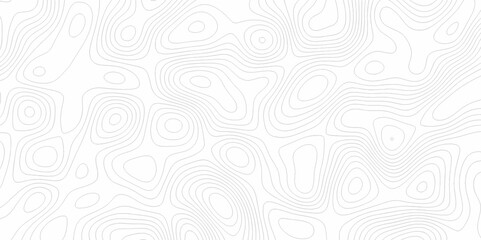White topography topology vector white background fresh contour map texture. white seamless pattern Abstract background with a wave Topography and geography map grid abstract backdrop.