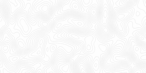 White topography topology vector white background fresh contour map texture. white seamless pattern Abstract background with a wave Topography and geography map grid abstract backdrop.