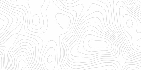 White topography topology vector white background fresh contour map texture. white seamless pattern Abstract background with a wave Topography and geography map grid abstract backdrop.