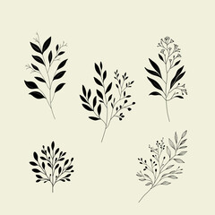 Minimalist leaf and branch on a beige background. Elegant and modern botanical design. Collection of herbs