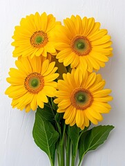 Fototapeta premium A photostock of vibrant sunflowers blooming in full radiance, arranged symmetrically on a clean white background, cheerful and natural, High Quality
