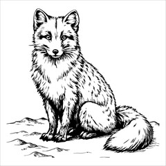 A fox is sitting on a rock