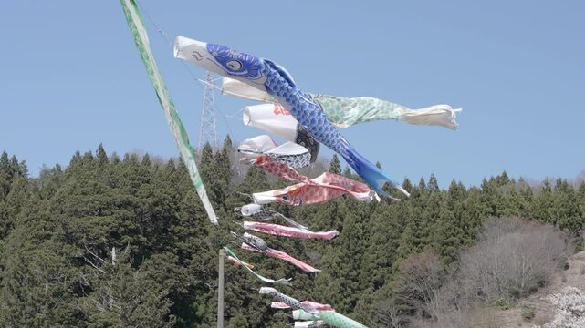 福島県　夏井千本桜