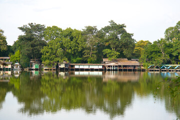 Thailand pond