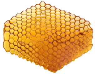 honeycomb isolated on white background