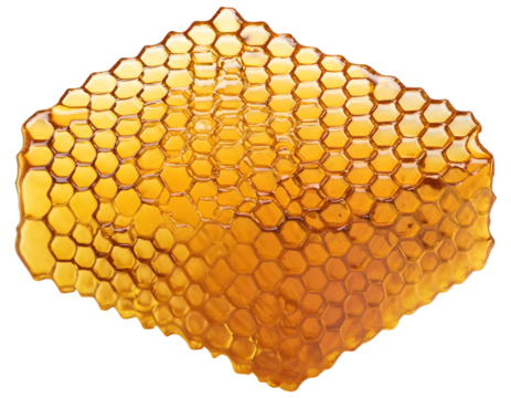 honeycomb isolated on white background