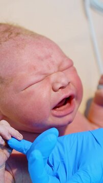 Newborn Caucasian baby cries bitterly. Medic's hand in latex gloves soothes the child touching the chin. Close up. Vertical video