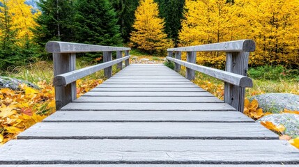 A photostock of a quaint wooden pathway leading into a forest filled with golden autumn leaves, representing exploration and serenity. High Quality