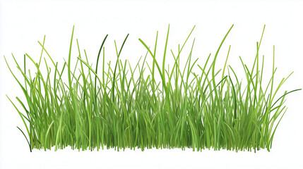 Tall Green Grass Blades on Transparent Background
