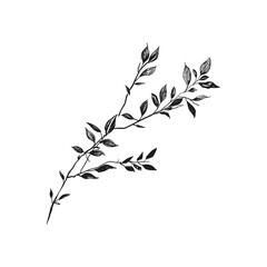 Elegant Silhouette Of A Black And White leaves Vector Illustration