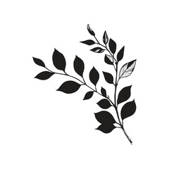 Elegant Silhouette Of A Black And White leaves Vector Illustration