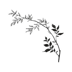 Elegant Silhouette Of A Black And White leaves Vector Illustration