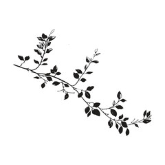 Elegant Silhouette Of A Black And White leaves Vector Illustration
