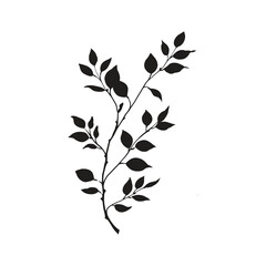 Elegant Silhouette Of A Black And White leaves Vector Illustration