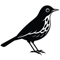 0dc3a308-9f39-4611-9060-52de5dd6e286_svg.eps