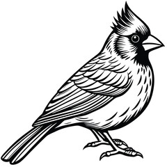 6ed199c3-ebf1-4869-b724-04891dd5c257_svg.eps