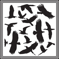 A big collection of cormorant bird silhouette set, cormorant silhouette logo isolated on white background.