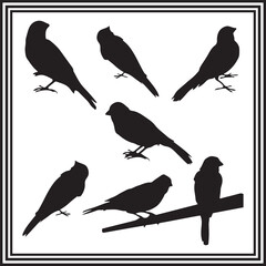 Set of oriole bird silhouette vector illustration.