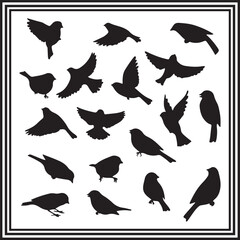 A big collection of oriole bird silhouette set, oriole silhouette logo isolated on white background.