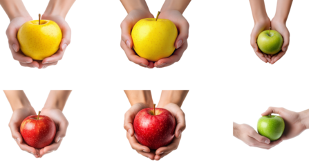 Collection of various hands holding a yellow, red and green apple isolated on white transparent background PNG set