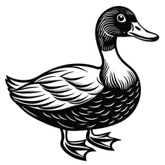 24f14ab0-ca2b-43b9-a87d-9ecc7431a2d0_svg.eps